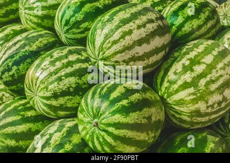 Haufen frischer grüner Wassermelonen auf dem Hintergrundmarkt, Nahaufnahme. Stockfoto