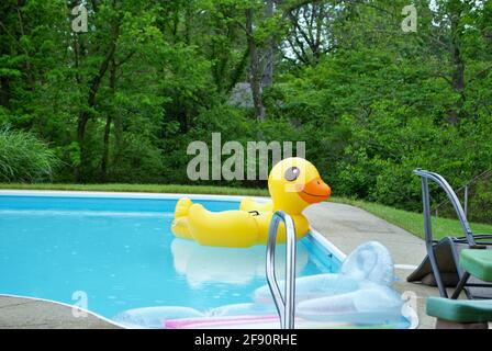 Gelbe Ente aufblasbar schwimmend in einem Hinterhof Schwimmbad Stockfoto