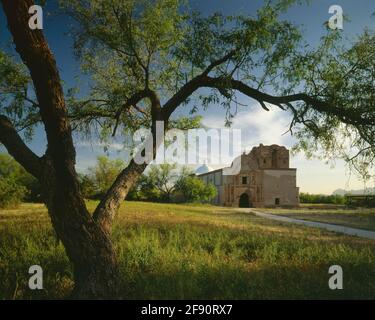 Tumacacori National Monument AZ / APR Mission San Jose Tumacacori eingerahmt von Mesquite-Bäumen im frühen Morgenlicht. Stockfoto