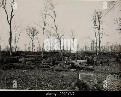 Die Verladung der Feldeisenbahnwagen mit den Eichenstämmen durch die russischen Kriegsgefangenen am 20.murz 1916. Stockfoto