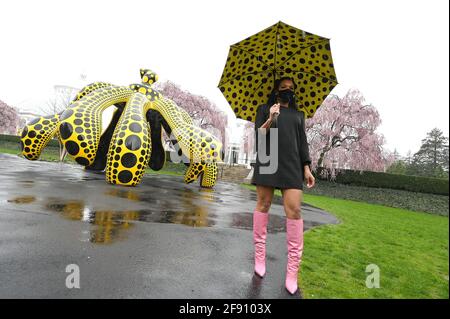 New York, USA. April 2021. Kia Davis aus Pittsburgh, PA, posiert mit einem von Kusama entworfenen Regenschirm und steht vor Yayoi Kumsas „Dancing Pumpkin“ im New Yorker Botanischen Garten im Stadtteil Bronx von New York City, 15. April 2021. Die Ausstellung „Cosmic Nature“ des zeitgenössischen japanischen Künstlers Yayoi Kusama zeigt ausgewählte Werke sowohl im Freien als auch im Innenbereich im Botanischen Garten von New York, wo Besucher während ihrer Zeit im Park Eintrittskarten kaufen und Masken tragen müssen. (Foto von Anthony Behar/Sipa USA) Quelle: SIPA USA/Alamy Live News Stockfoto