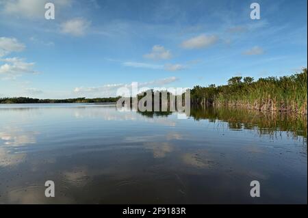 Nine Mile Pond nachmittags Wolkenlandschaft und Reflexionen im Everglades National Park. Stockfoto