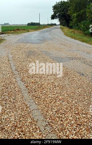 Ein enger, historischer Abschnitt der ursprünglichen Route 66-Straße in der Nähe von Miami, Oklahoma, bekannt als die Ribbon Road oder Sidewalk Highway. Stockfoto