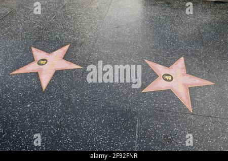 Hollywood, Kalifornien, USA 14. April 2021 EIN allgemeiner Blick auf die Atmosphäre des Schauspielers Kurt Russell's Star und der Schauspielerin Goldie Hawn's Star auf dem Hollywood Walk of Fame am 14. April 2021 in Hollywood, Kalifornien, USA. Foto von Barry King/Alamy Stockfoto Stockfoto