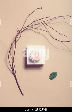 wabi sabi , organisches Designkonzept. Blumen im skandinavischen und japanischen Stil. Rosa Rose auf Marmor, trockener Ast und grünes Blatt auf beigem Hintergrund Stockfoto