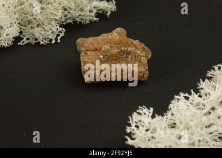 Andalusit aus Brasilien oder China. Natürlicher Mineralstein auf schwarzem Hintergrund, umgeben von Moos. Mineralogie, Geologie, Magie, Halbedelsteine und Stockfoto