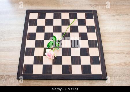 Rose auf einem Schachbrett Stockfoto
