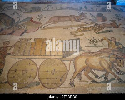 Ochsenwagen mit Käfigtieren, Mosaikdetails aus dem Ambulatorium der Großen Jagd, Villa Romana del Casale Stockfoto