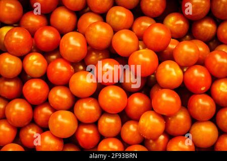 Blick von oben auf viele Tomaten Stockfoto