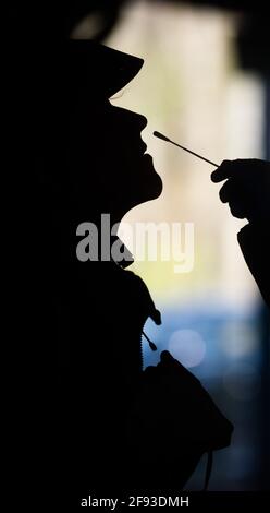 Hannover, Deutschland. April 2021. Helfer testen eine Frau im Testzentrum am Zoo mit einem Schnelltest auf das neuartige Corona-Virus. Das Robert Koch-Institut (RKI) berichtet weiterhin über einen Anstieg der neuen Coronainfektionen in Deutschland. Quelle: Julian Stratenschulte/dpa/Alamy Live News Stockfoto