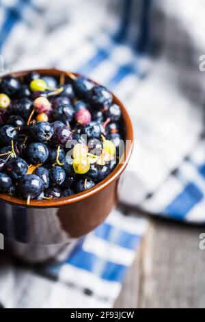 Frisch geerntete wilde Heidelbeeren in einer Schüssel. Selektiver Fokus. Geringe Schärfentiefe. Stockfoto