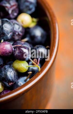 Frisch geerntete wilde Heidelbeeren in einer Schüssel. Selektiver Fokus. Geringe Schärfentiefe. Stockfoto