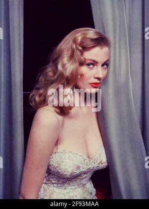 ANITA EKBERG (1931-2015) Schwedische Fillm-Schauspielerin um 1956 Stockfoto