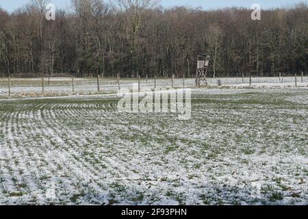 Schneebedecktes Feld mit Holzzaun und hohem Sitz für Jagd vor einem Wald Stockfoto