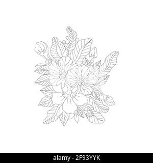 Skizzieren Doodle Blumen in schwarz und weiß für Erwachsene Malbücher, monocrome floralen Vektor-Muster. Stock Vektor