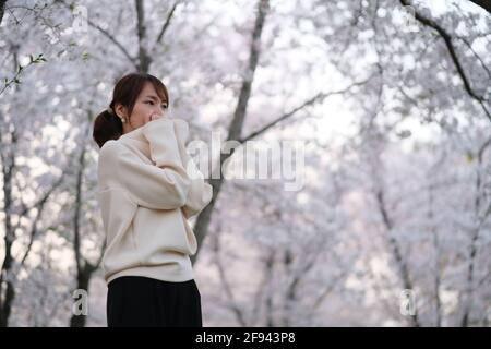 Mittlere Aufnahme einer modischen asiatischen jungen Frau unter einem weißen Sakura-Blumenbaum Stockfoto