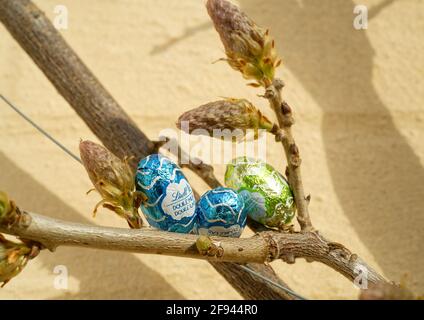 Kleine Ostereier versteckt in einem Frühlingsgarten bereit zu finden. Bunte, mit Folie überzogene Schokoladeneier, die in Pflanzen im Garten sitzen. Stockfoto