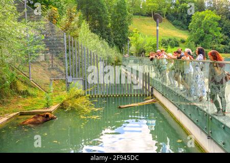 Bern, Schweiz - 23. Aug 2020: Touristen, die einen Bären im Bärengraben schwimmen, einem der meistbesuchten Touristenziele in Bern Stockfoto