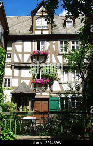 Schönes Fachwerkhaus mit Bougainvillea in Braubach, nr. Koblenz, Rheinland-Pfalz, Deutschland Stockfoto