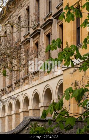 Ockerfarbenes neues Gebäude, erbaut in der georgischen Ära auf dem Campus am Magdalen College, University of Oxford, Großbritannien. Stockfoto