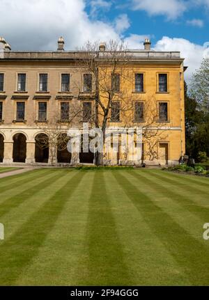 Ockerfarbenes neues Gebäude, erbaut in der georgischen Ära auf dem Campus am Magdalen College, University of Oxford, Großbritannien. Stockfoto