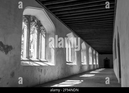 Gotische Bogenfenster an den historischen Kreuzgängen, bekannt als das große Quad, am Magdalen College der Universität Oxford. VEREINIGTES KÖNIGREICH. Monochrom fotografiert. Stockfoto