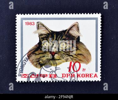 Abgesagte Briefmarke gedruckt von Nordkorea, die Katze zeigt, um 1983. Stockfoto