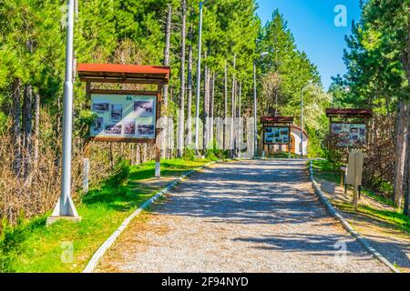 Straße, die durch den Wald führt Stockfoto