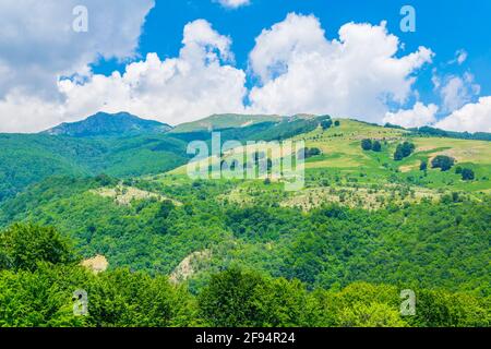 Zentraler Balkan-Nationalpark in Bulgarien Stockfoto