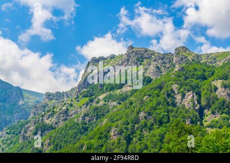 Zentraler Balkan-Nationalpark in Bulgarien Stockfoto