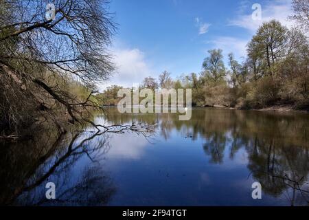 Unberührte Natur und See in den Rheinauen-Feuchtgebieten in Plittersdorf, Baden-Württemberg, Deutschland. Stockfoto