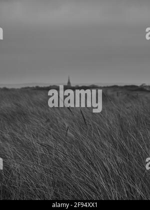 Lange Gräser, die in flachem Fokus gesehen werden und im Wind in Coatham Marsh wehen, mit dem Kirchturm von Coatham und den Cleveland Hills am Horizont. Stockfoto