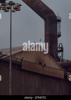 Ein Detail aus dem verlassenen Redcar Steelworks Complex, einer Schar von Tauben, die an einem korrodierten Gebäude und schweren Rohrarbeiten vorbeifliegen. Stockfoto