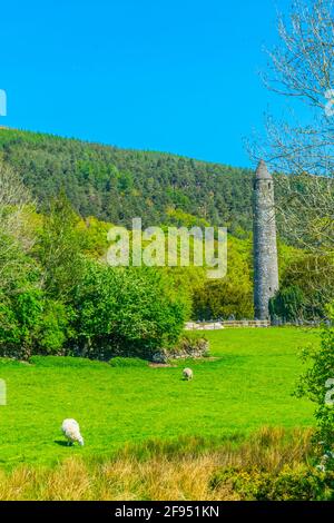 Ein runder Turm in Glendalough Settlement, Irland Stockfoto