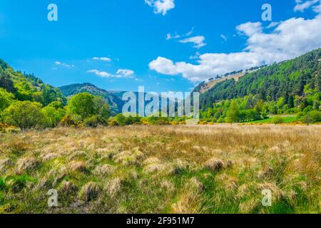 Blick auf Sümpfe rund um den unteren See in Glendalough, Irland Stockfoto