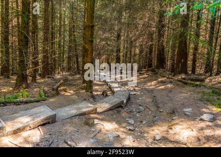 Blick auf einen Touristenpfad rund um den unteren See in Glendalough, Irland Stockfoto