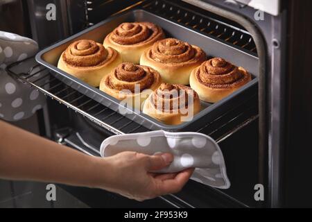 Eine Frau nimmt frische Zimt aus dem Ofen. Zimtrollen werden im Ofen gebacken. Hausgemachtes Backen. Stockfoto