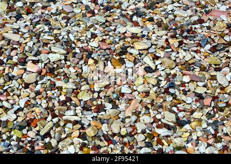 Hintergrund von farbigen nassen kleinen Kieselsteinen. Nahaufnahme. Stockfoto