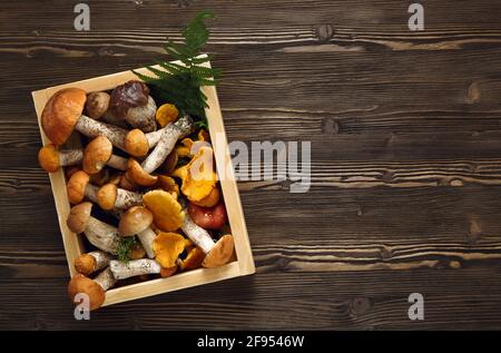 Frische Pilze in einer Schachtel auf einem dunklen rustikalen Holzhintergrund. Stockfoto