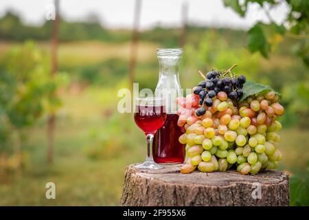 .Bio-Obst im Korb im Sommerrasen. Frische Trauben, Birnen und Äpfel in der Natur. Dekanter und ein Glas Wein. Stockfoto