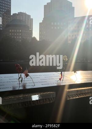 Rosen am 9/11 Memorial in New York City. Stockfoto