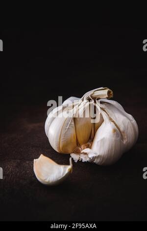 Einzelne Knoblauchzwiebel mit einer getrennten Nelke auf einer dunklen Brauner Hintergrund mit Kopierbereich Stockfoto