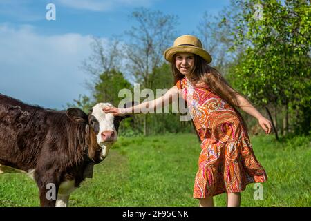 Kleines Mädchen streichelt auf einem Feld ein Kalb, sonniger Tag Stockfoto