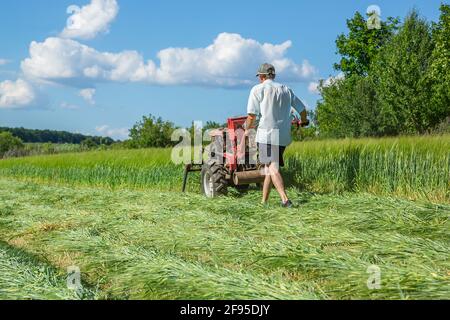 Arbeit auf einem landwirtschaftlichen Bauernhof. Ein roter Traktor schneidet eine Wiese. Stockfoto