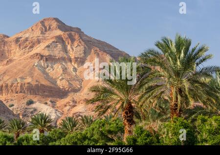 Totes Meer, Israel in der umliegenden Berglandschaft. Stockfoto