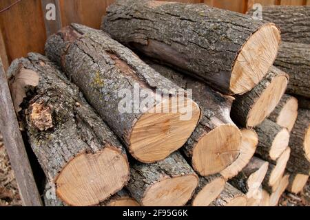 Ein Stapel von trocken gehackten Feuerholzstämmen, hellem Holz mit moosiger Rinde, das an einer Holzscheune in Ontario, Kanada, befestigt ist. Abgewinkelte Ansicht von oben. Stockfoto