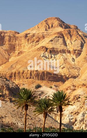 Totes Meer, Israel in der umliegenden Berglandschaft. Stockfoto