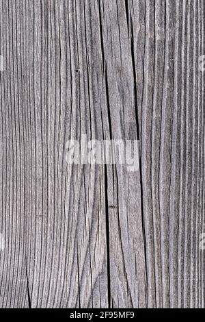 Hintergrund und Textur aus verwittertem, rissrot-grauem sibirischem Lärchenholz Stockfoto
