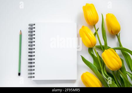 Öffnen Sie Notizblock, Bleistift und gelbe Tulpen auf weißem Hintergrund Stockfoto
