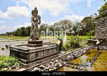 Balinesische Hindu-Statue mit Reisterrassen im Hintergrund. Dewi Sri oder Shridevi ist die javanische, sundanesische und balinesische Göttin des Reises und der Fruchtbarkeit. Stockfoto